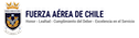 logo fach